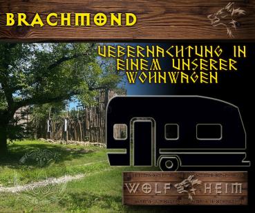 Brachmond 2026 - in unserer Wolfheim-Wohnwagen "Munin"